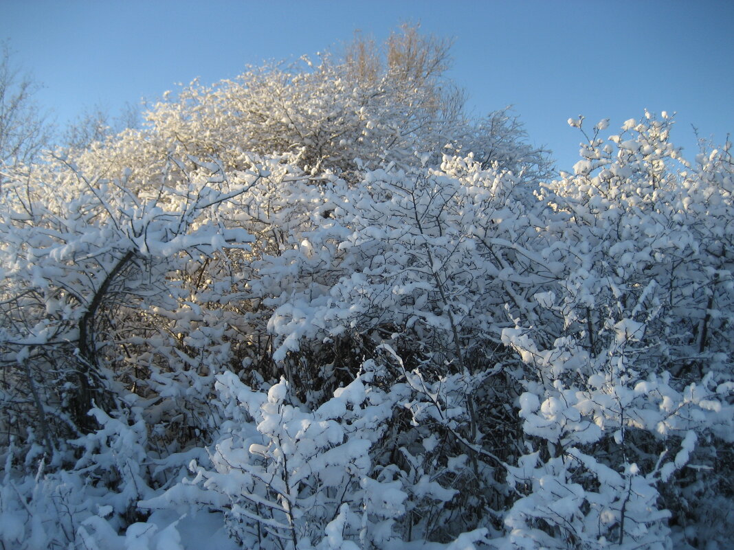 Зима - Anna Ivanova