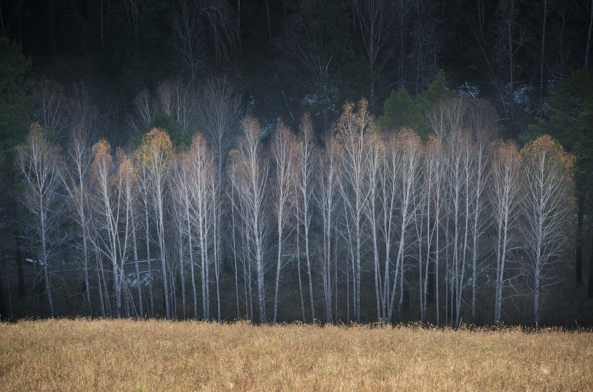* - Александр Иванов * - Александр Иванов