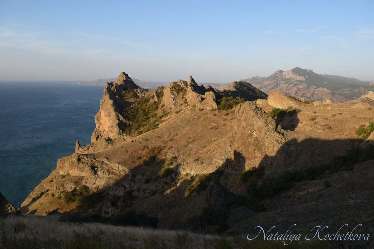 Природа Крыма - Amazing Cosmea