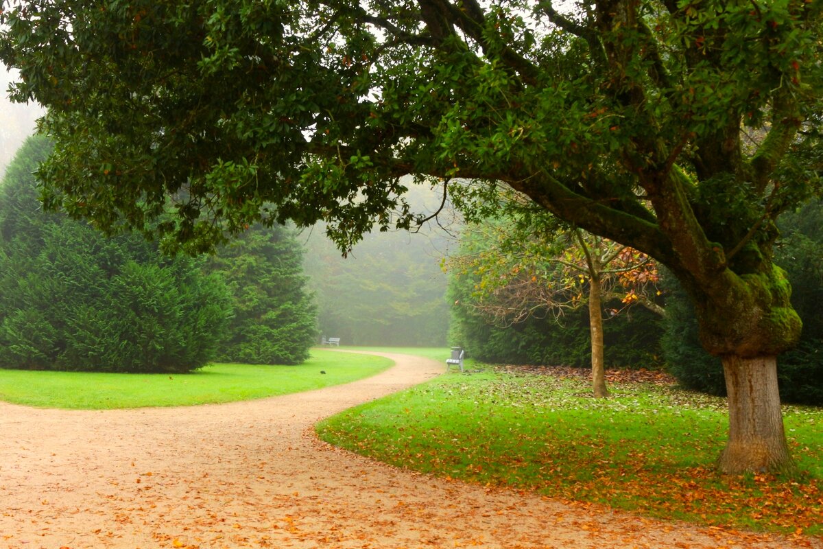 Осенние дорожки - Юрий. Шмаков
