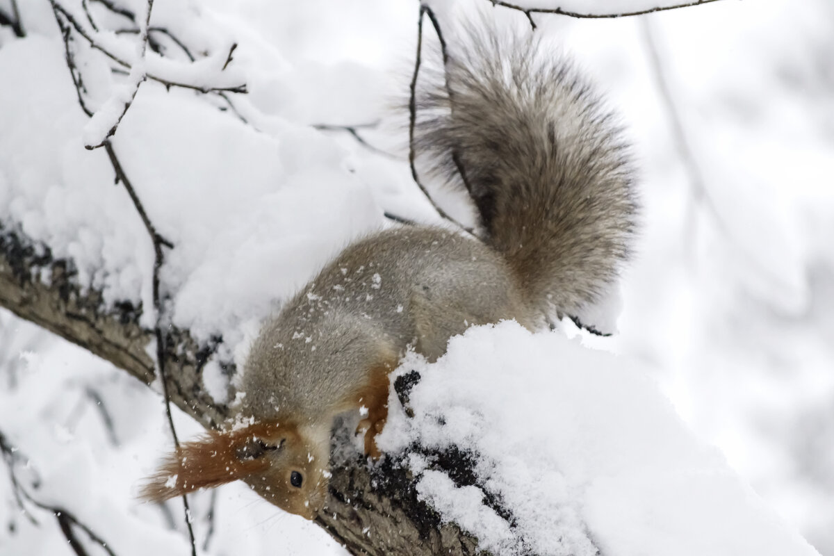 Ну, где ты там спрятался - Игорь Протасов