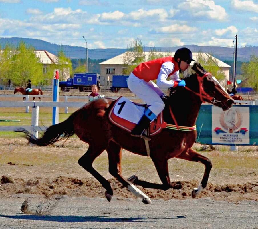 На скачках - Мишель71 
