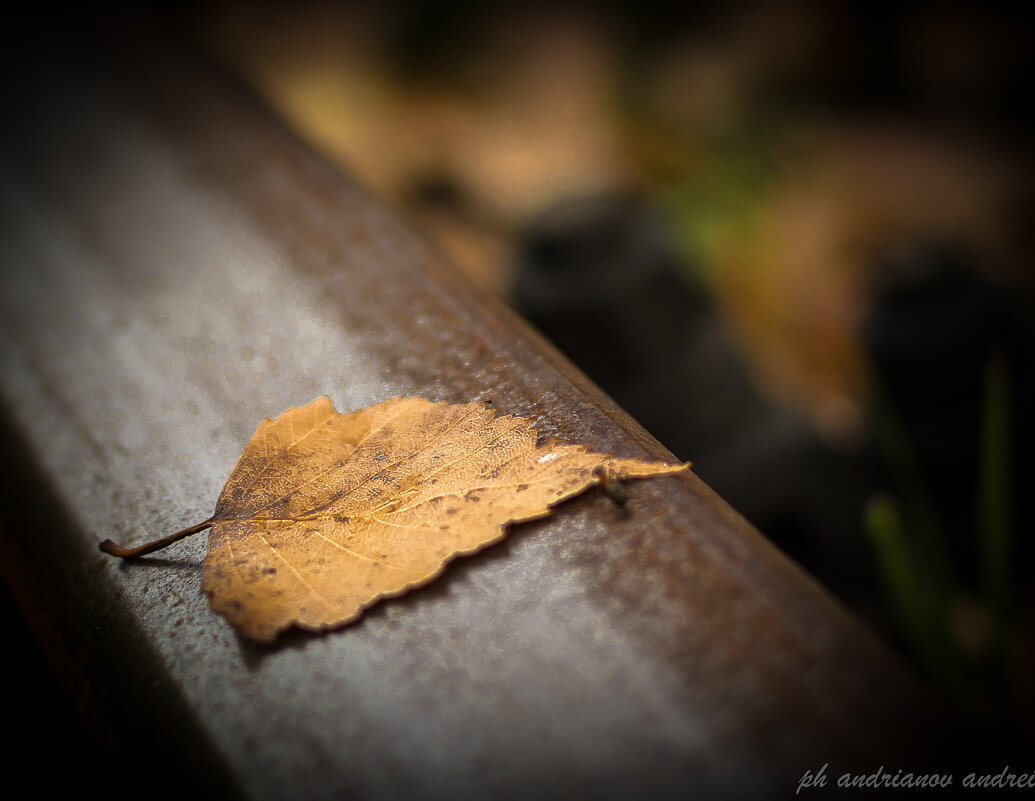 *** - Андрей Андрианов