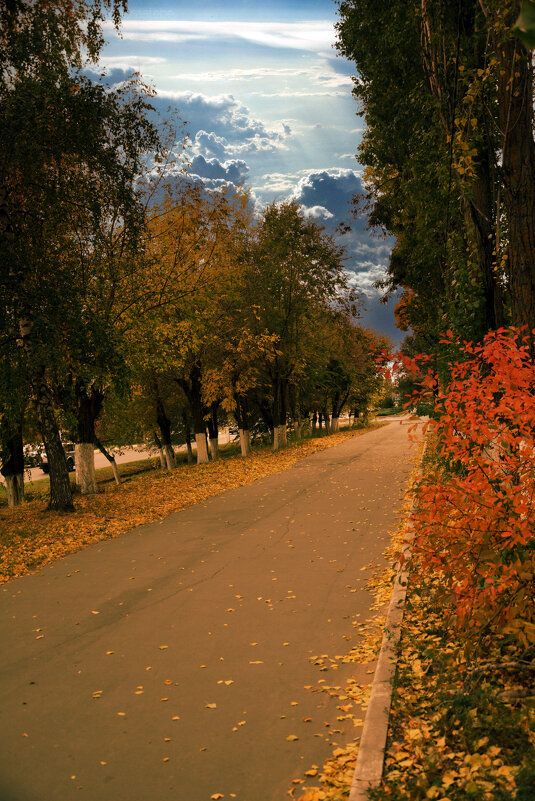 ++++ - Анатолий Уткин