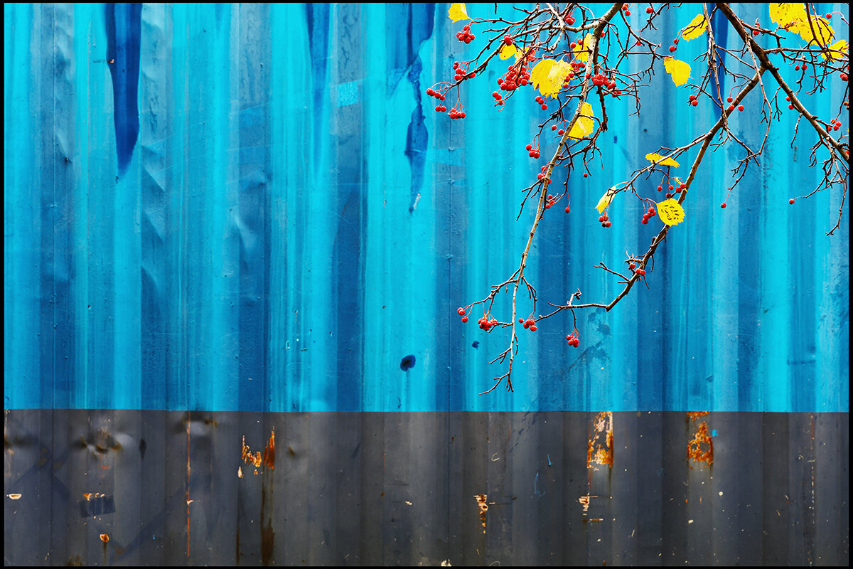 Краски осени 2 - Сергей Премонишын