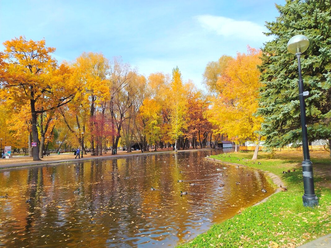 Золотая осень в Самаре - Надежда 
