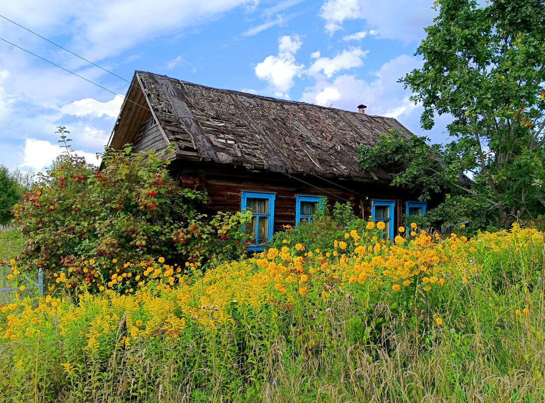 История деревеньки из 10 домов... - Мария Васильева
