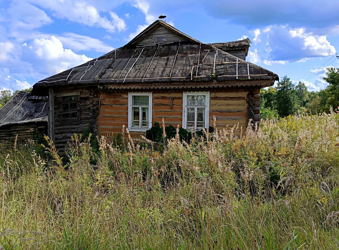 История деревеньки из 10 домов... - Мария Васильева