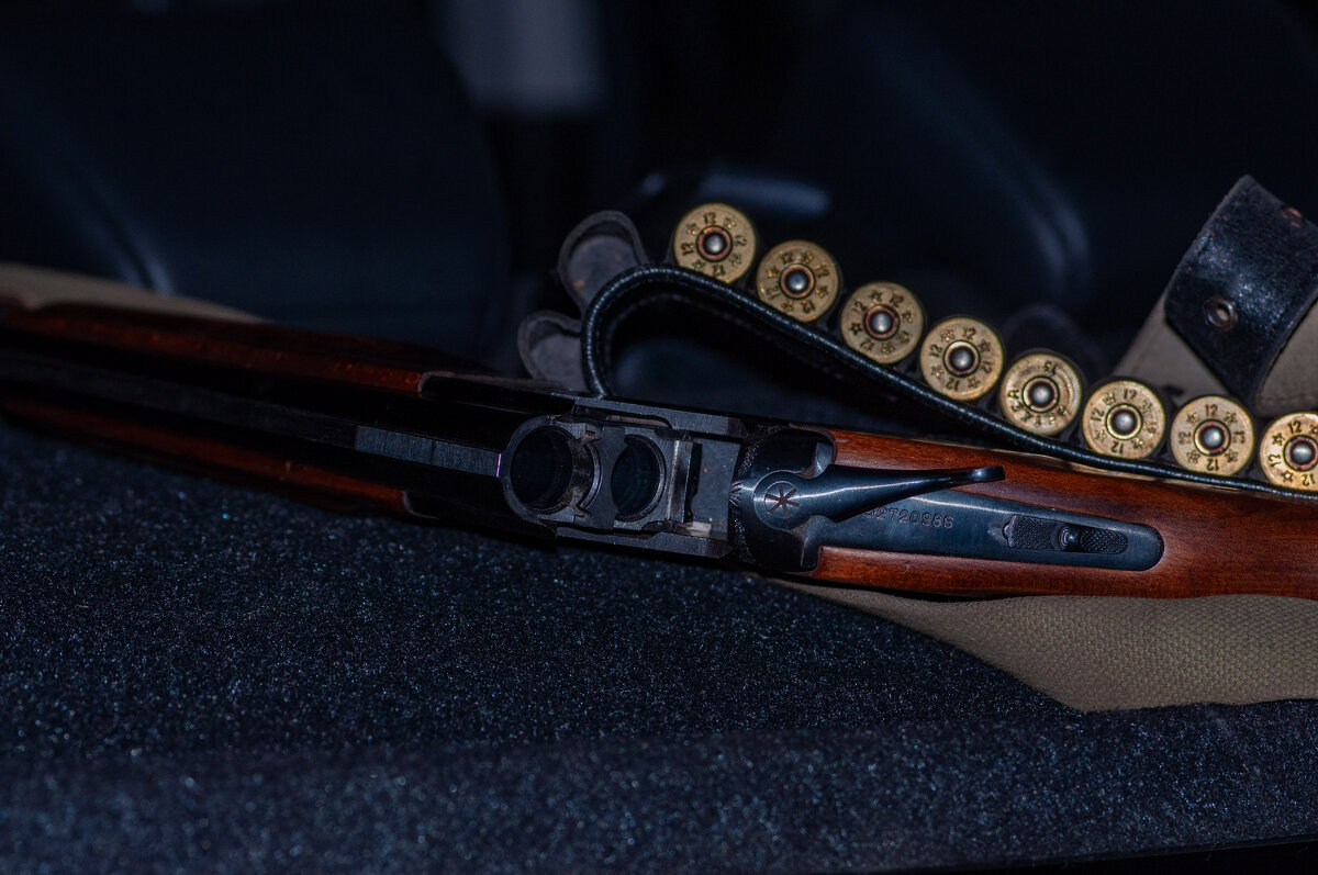 Перед охотой - Владимир Иванович