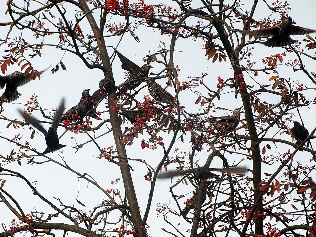 ** - Зоя Мишина