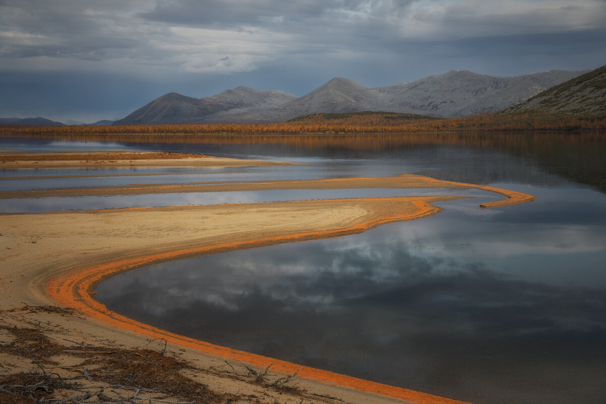Песчаные косы - Дмитрий Шишкин