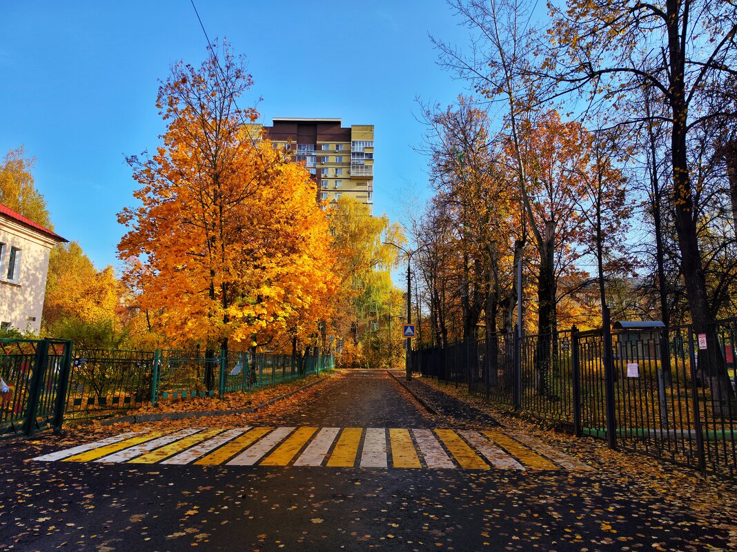 **** - Алексей Архипов