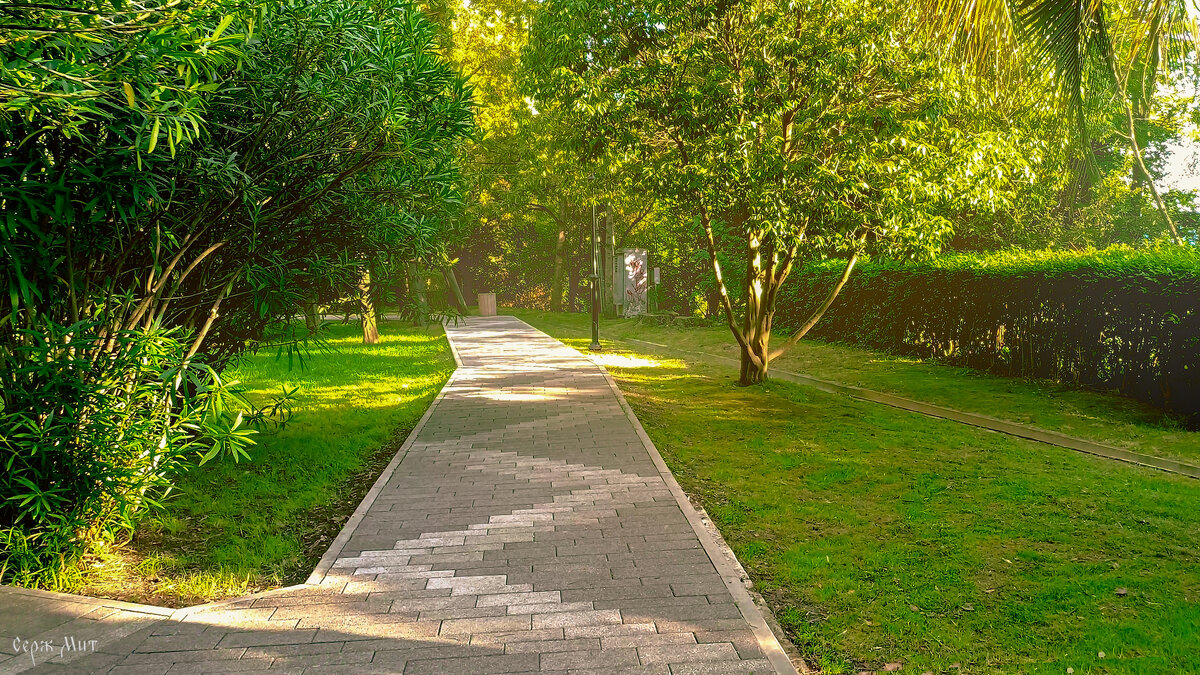 Сквер у моря - Сергей Алексеевич Митянин