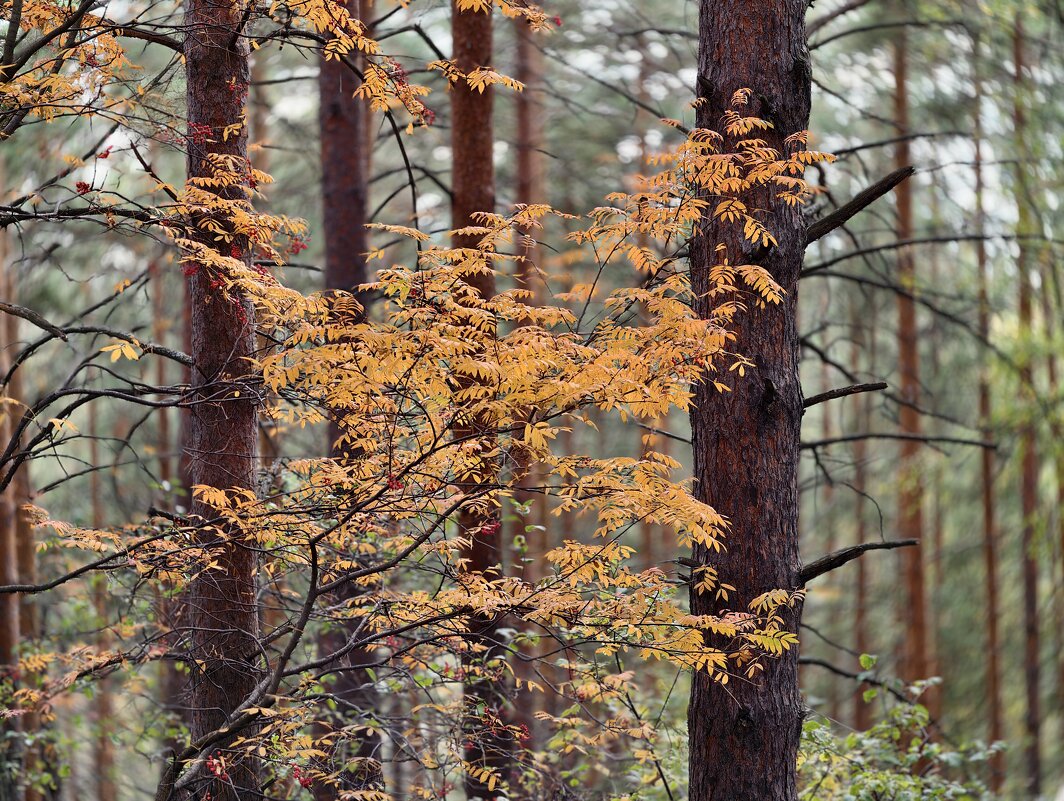 ** - Борис Руднев