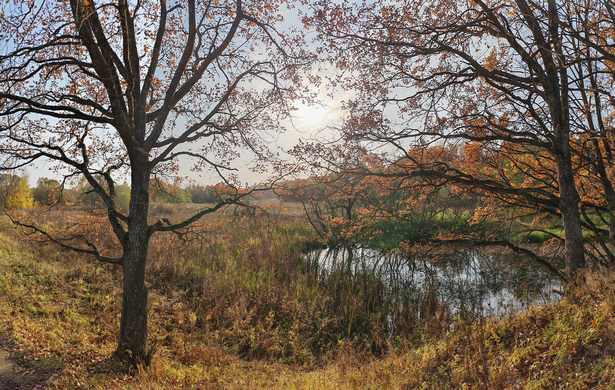 Осенний пейзаж - Денис Бочкарёв