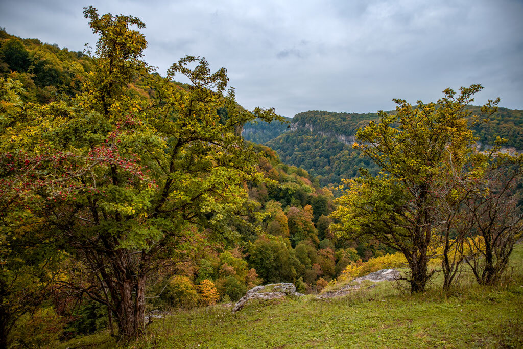 Ущелье Мишоко. Адыгея. - Дина Евсеева