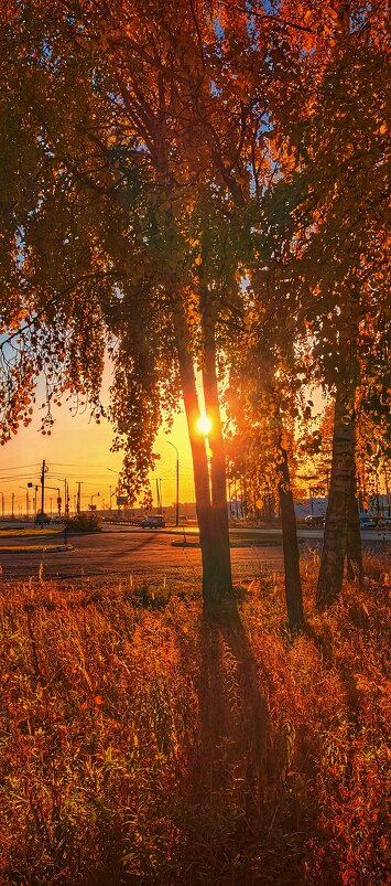 Золотое октябрьское утро... - Леонид Абросимов