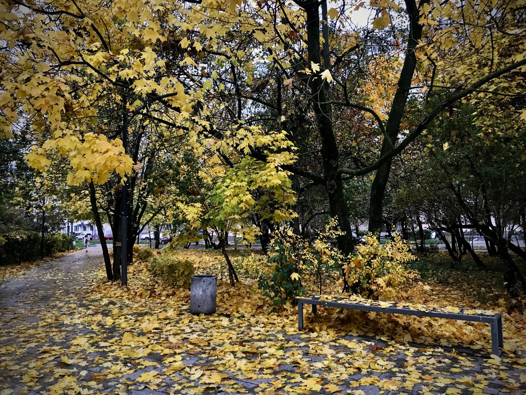 Осень листвой нас закидала… - Любовь Осень листвой нас закидала… - Любовь