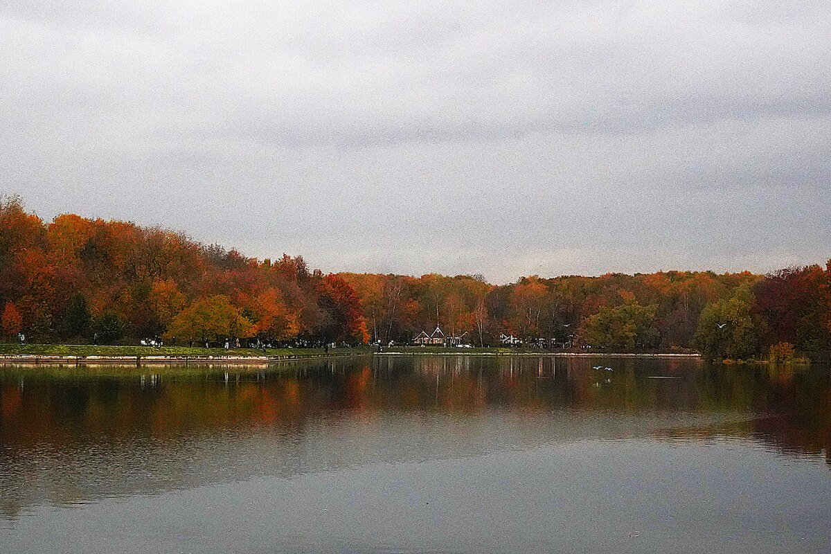 Осень в Кусково - Татьяна Тюменка