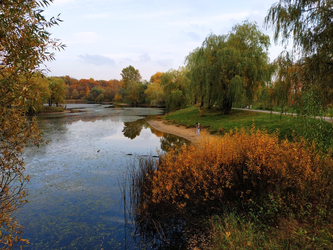 Золотая! - Андрей Лукьянов