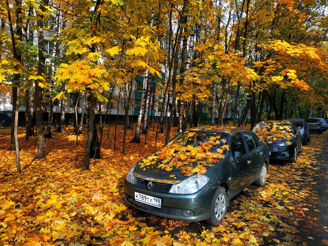 Золотая! - Андрей Лукьянов