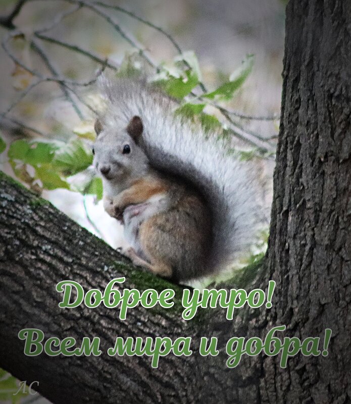 *** - Любовь Сахарова