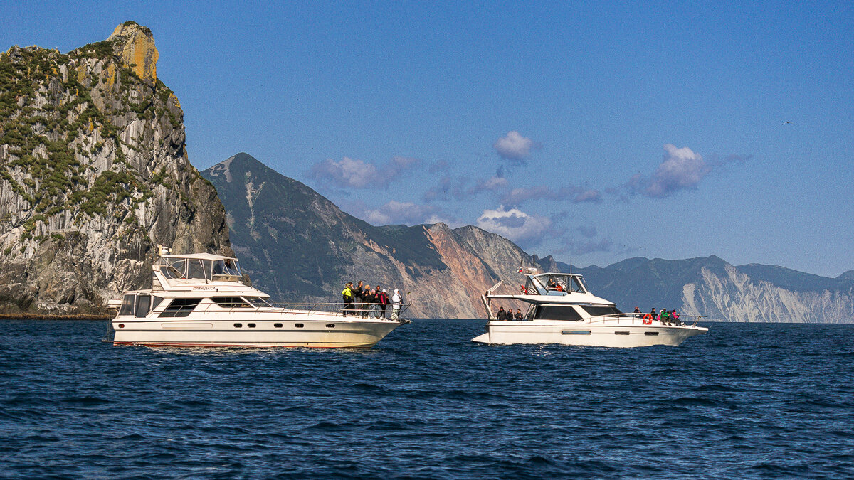 ... - Жора Житников