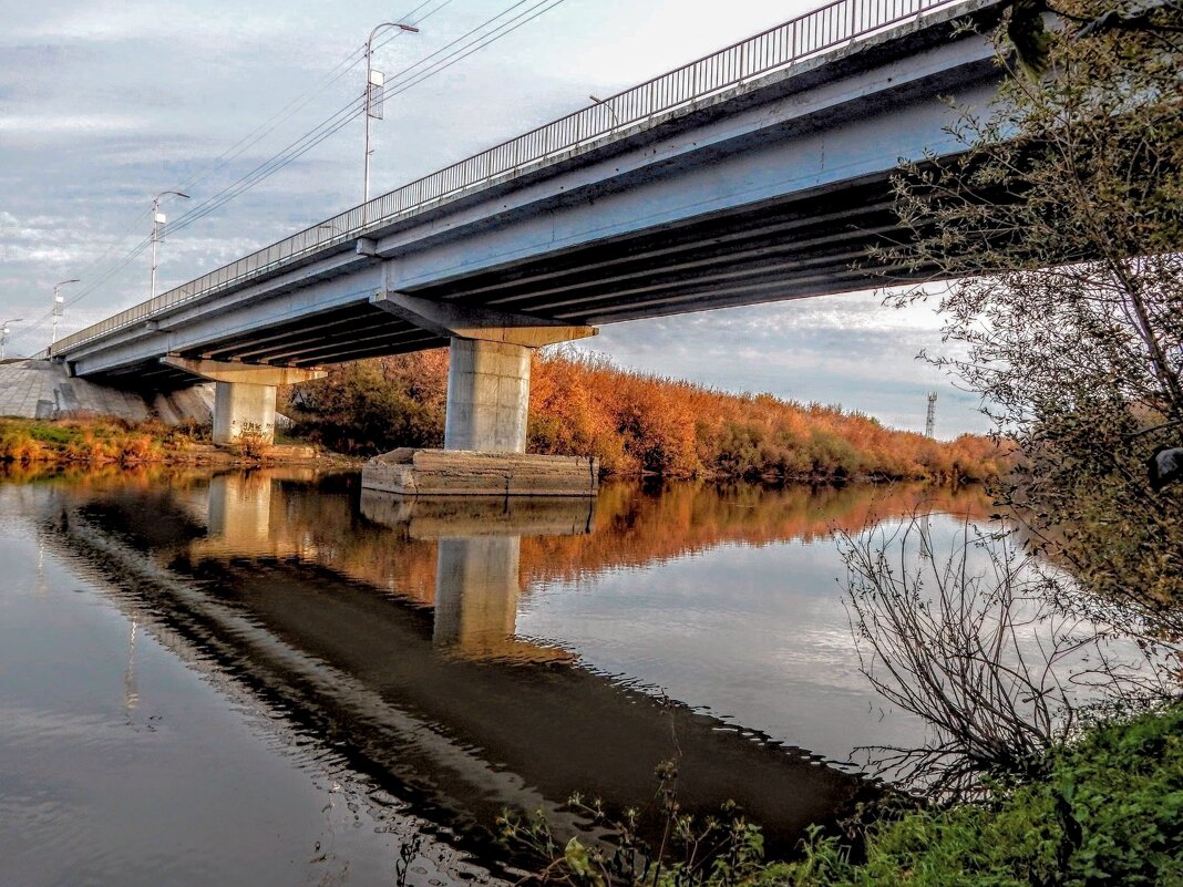 Осенняя перспектива! - Елена Хайдукова  ( Elena Fly )
