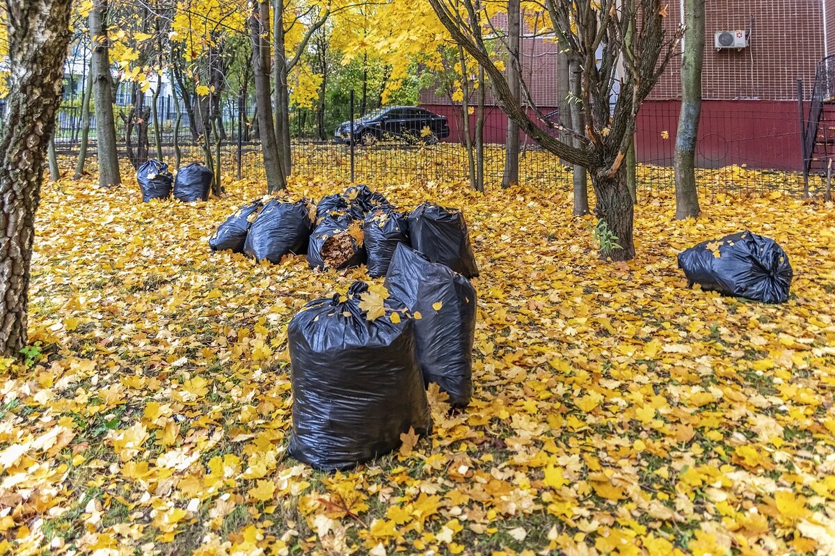 Урожай - Валерий Иванович Урожай - Валерий Иванович