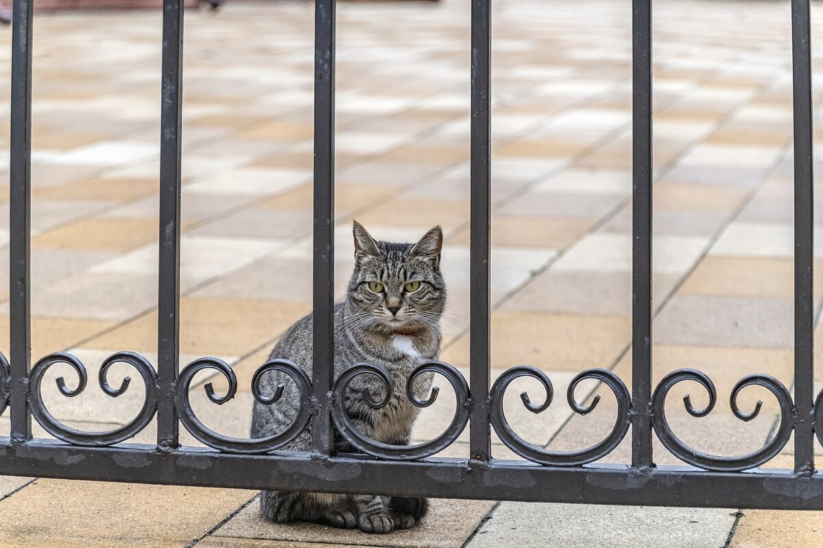 За церковными воротами - Валерий Иванович За церковными воротами - Валерий Иванович