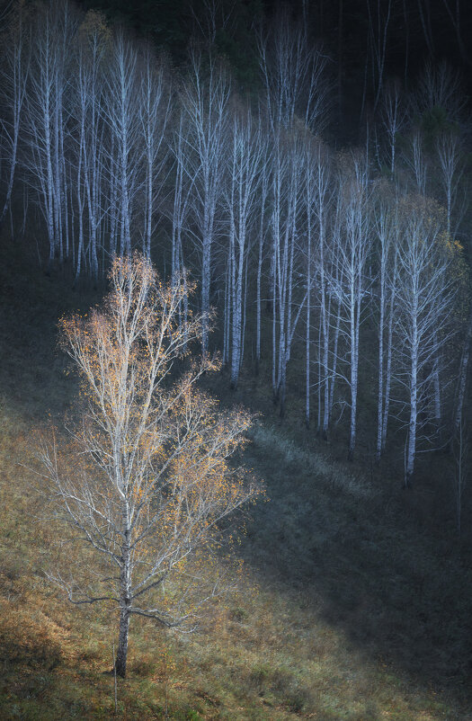 * - Александр Иванов