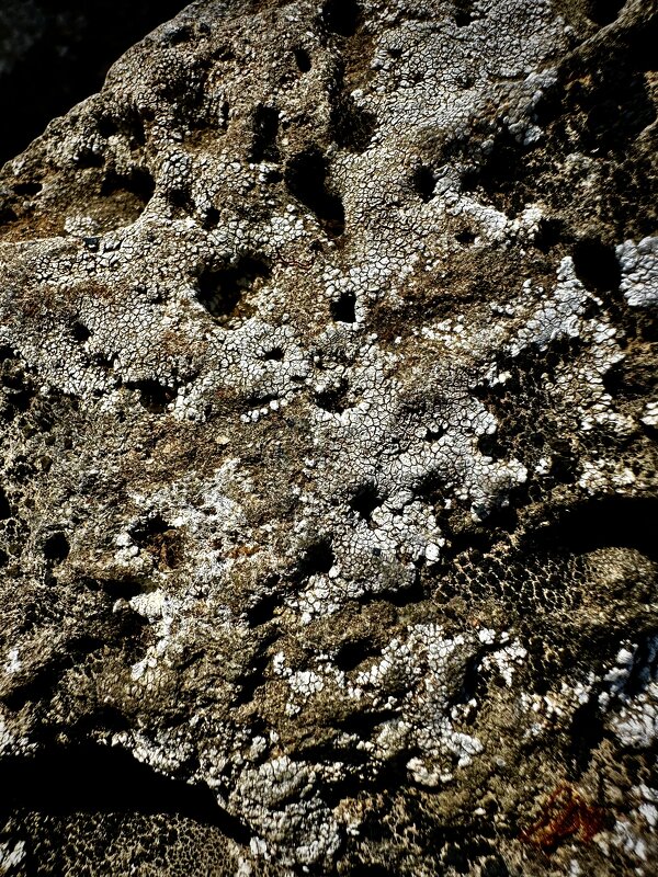 Что это? - Александр Деревяшкин Что это? - Александр Деревяшкин