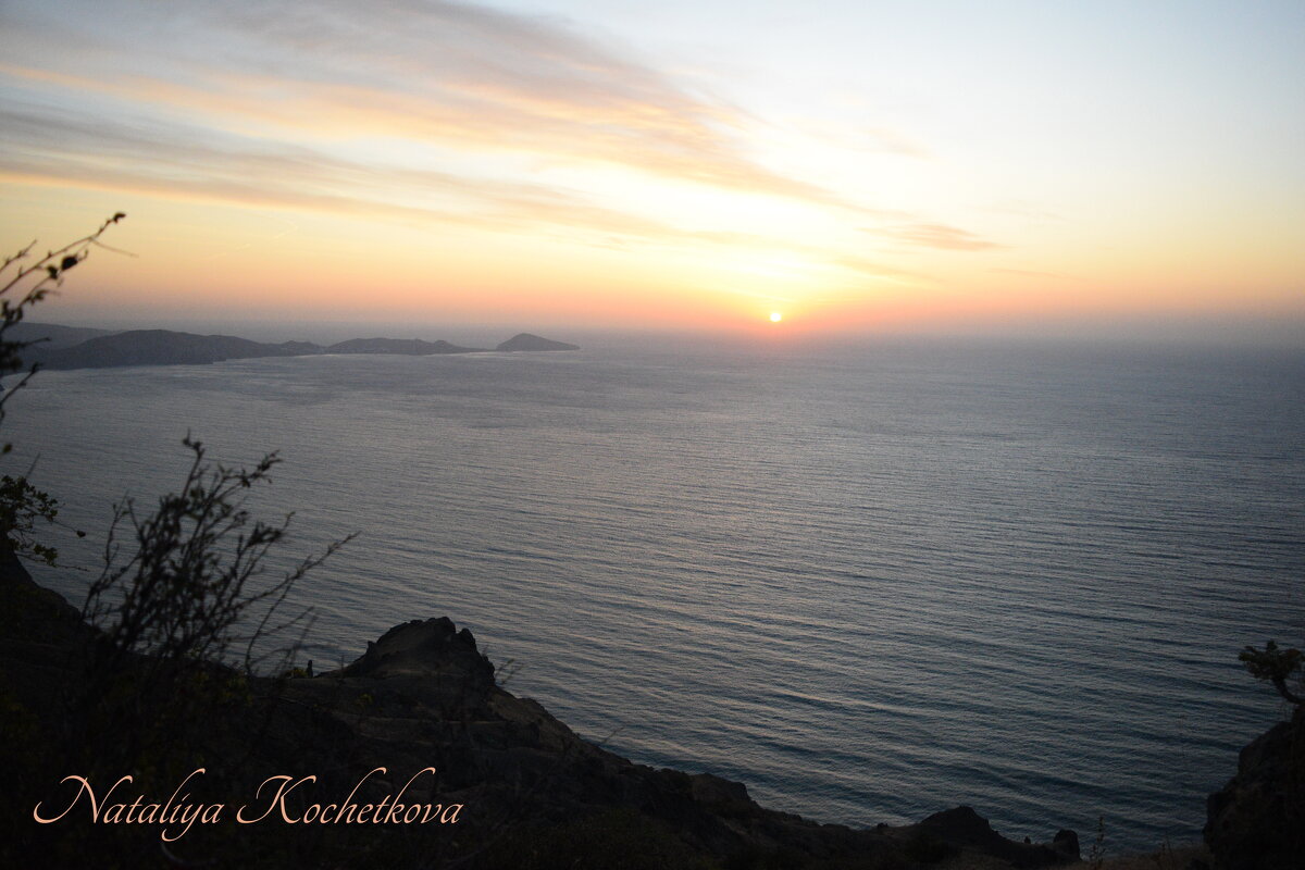 Природа Крыма - Amazing Cosmea Природа Крыма - Amazing Cosmea