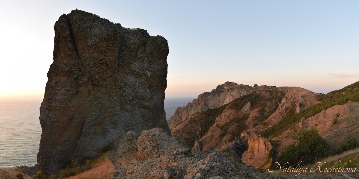 Природа Крыма - Amazing Cosmea