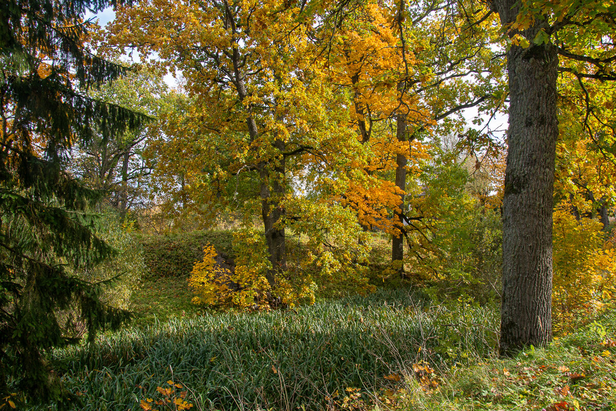 *** - Геннадий Порохов