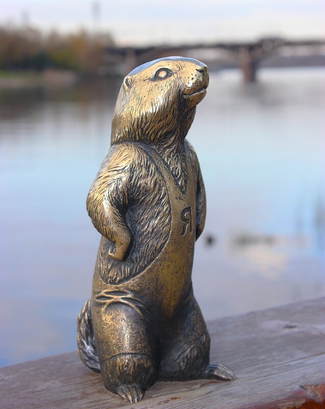 Легендарные суслики Красноярска - Василий 