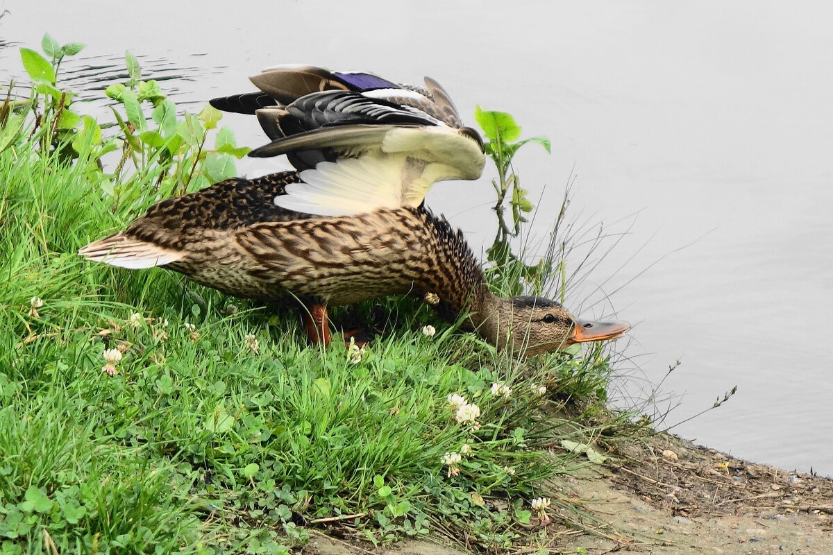 Потягушечки... - Рита Симонова
