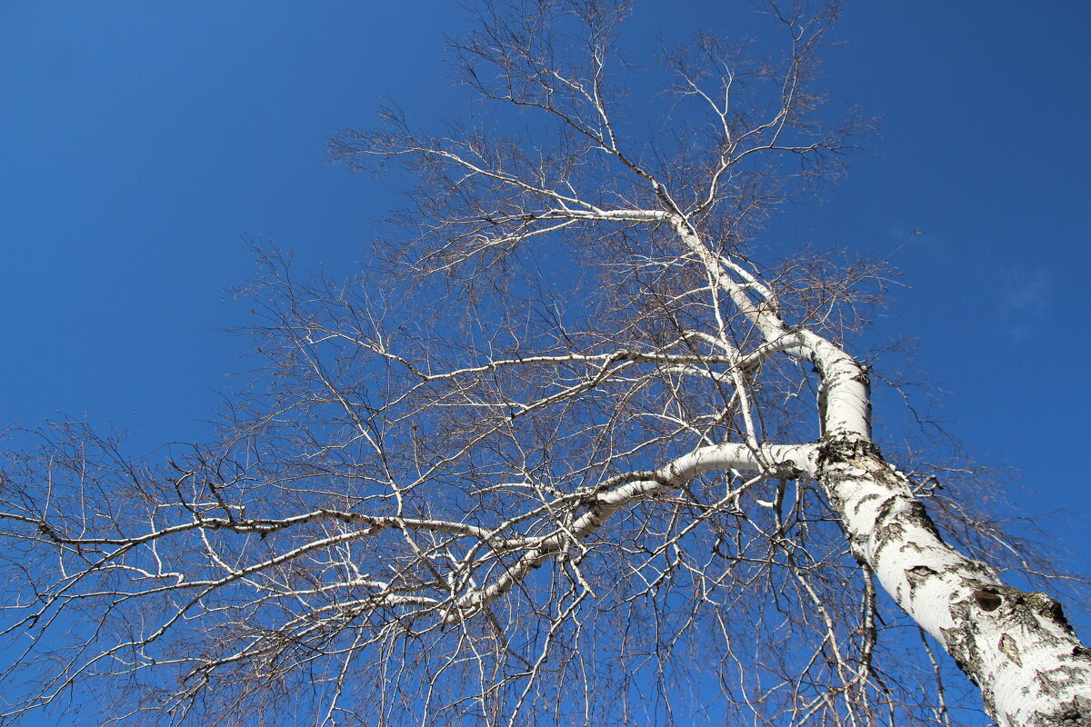 Октябрь - Евгения Каравашкина