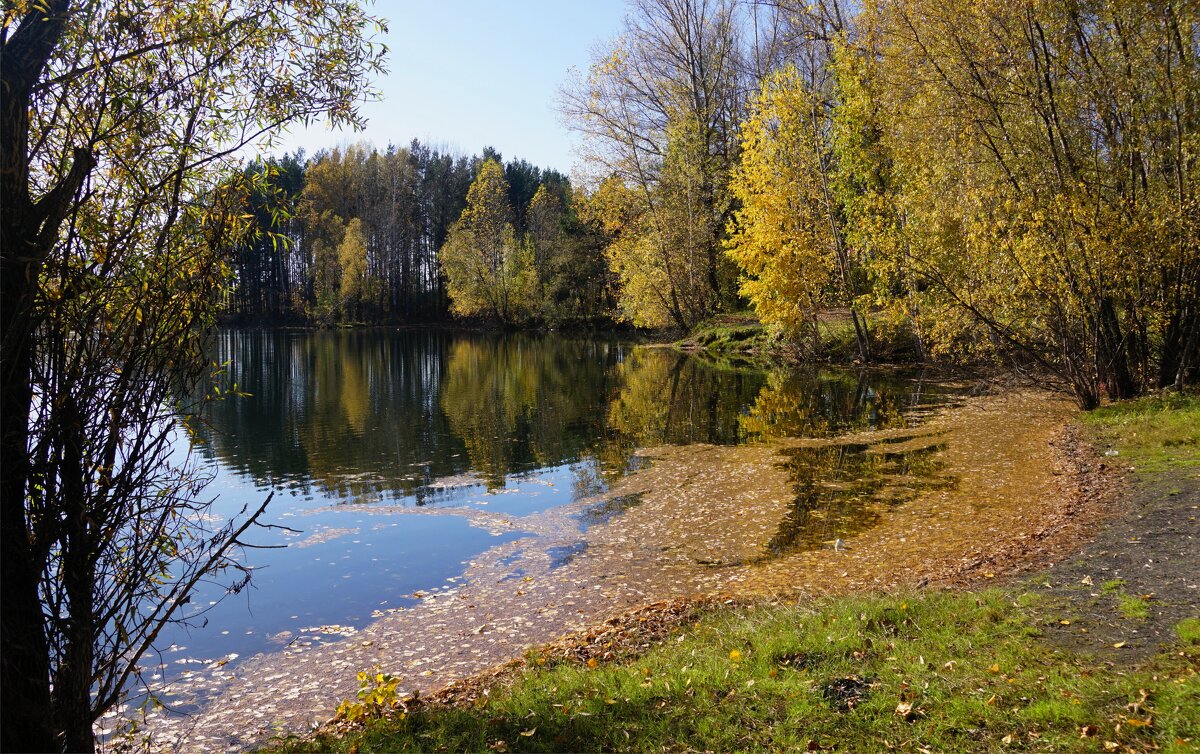 Осеннее - Наталия Григорьева