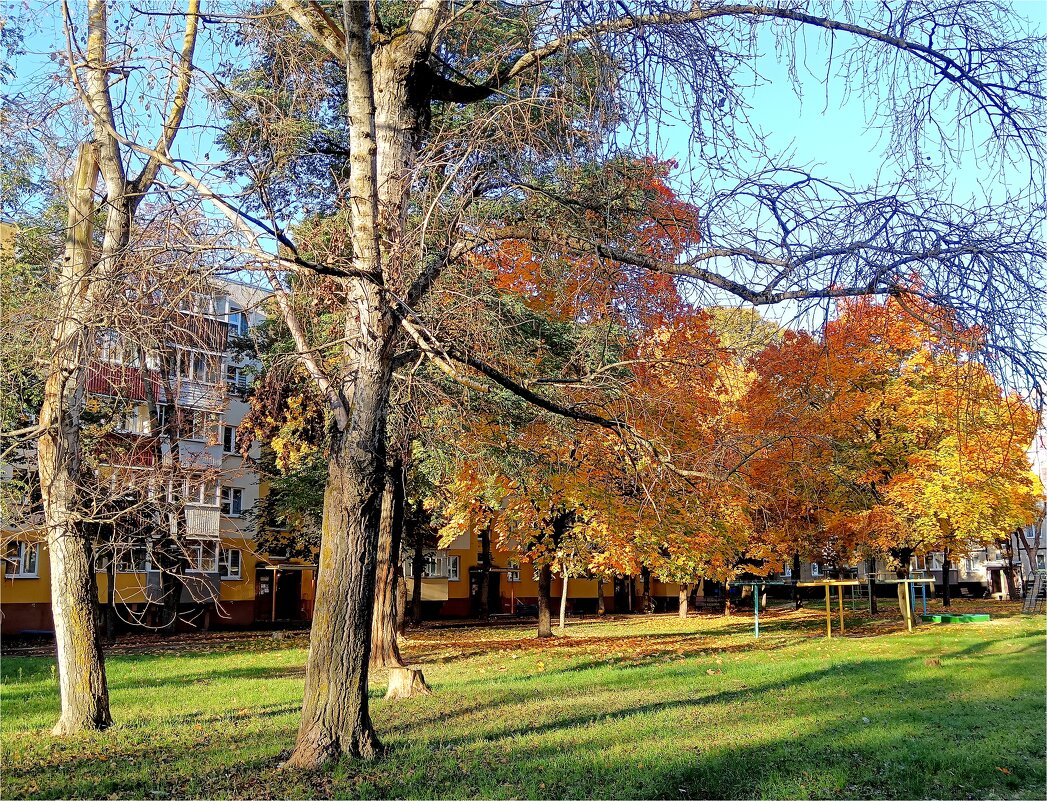 Осень пришла в город - Геннадий Худолеев Худолеев Осень пришла в город - Геннадий Худолеев Худолеев