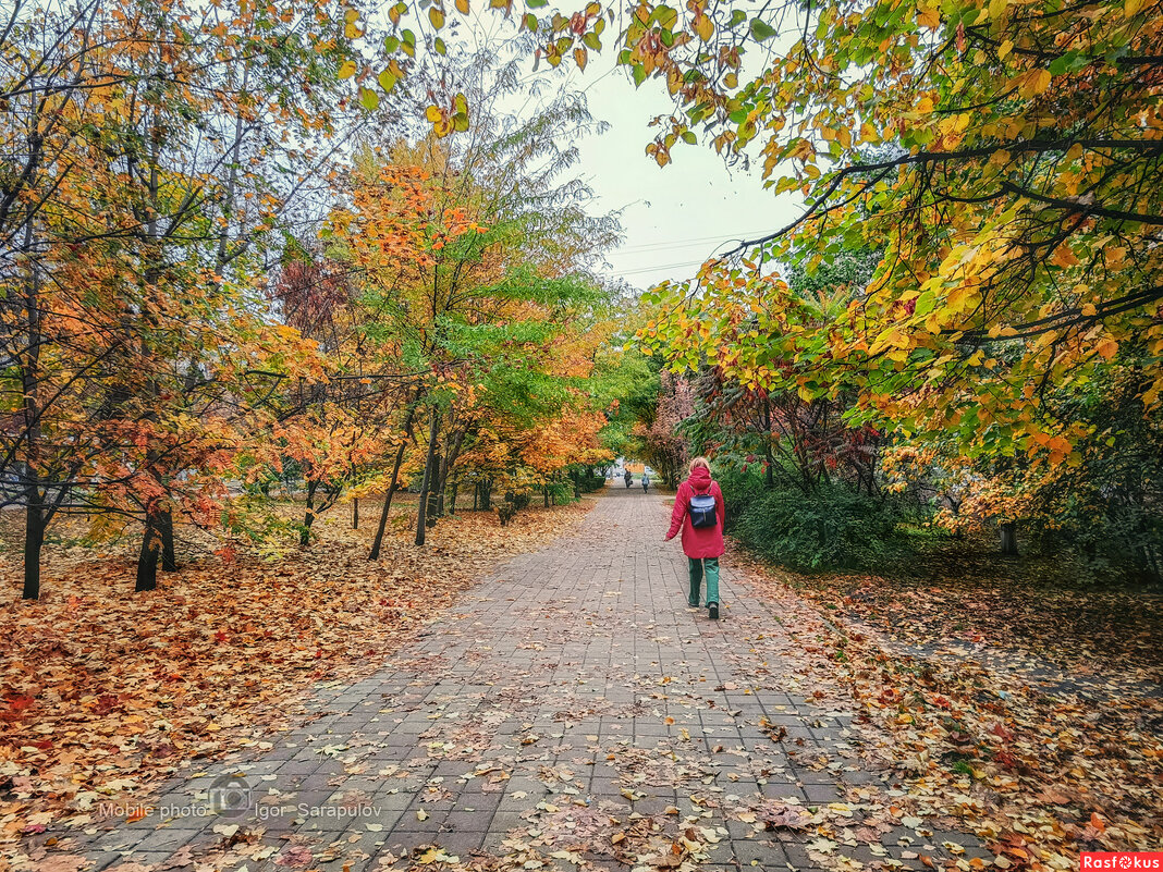 Осень 12 октября 2025 года - Игорь Сарапулов