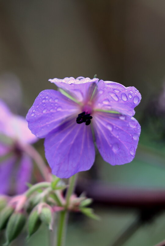 От лета привет - Александр Кондаков