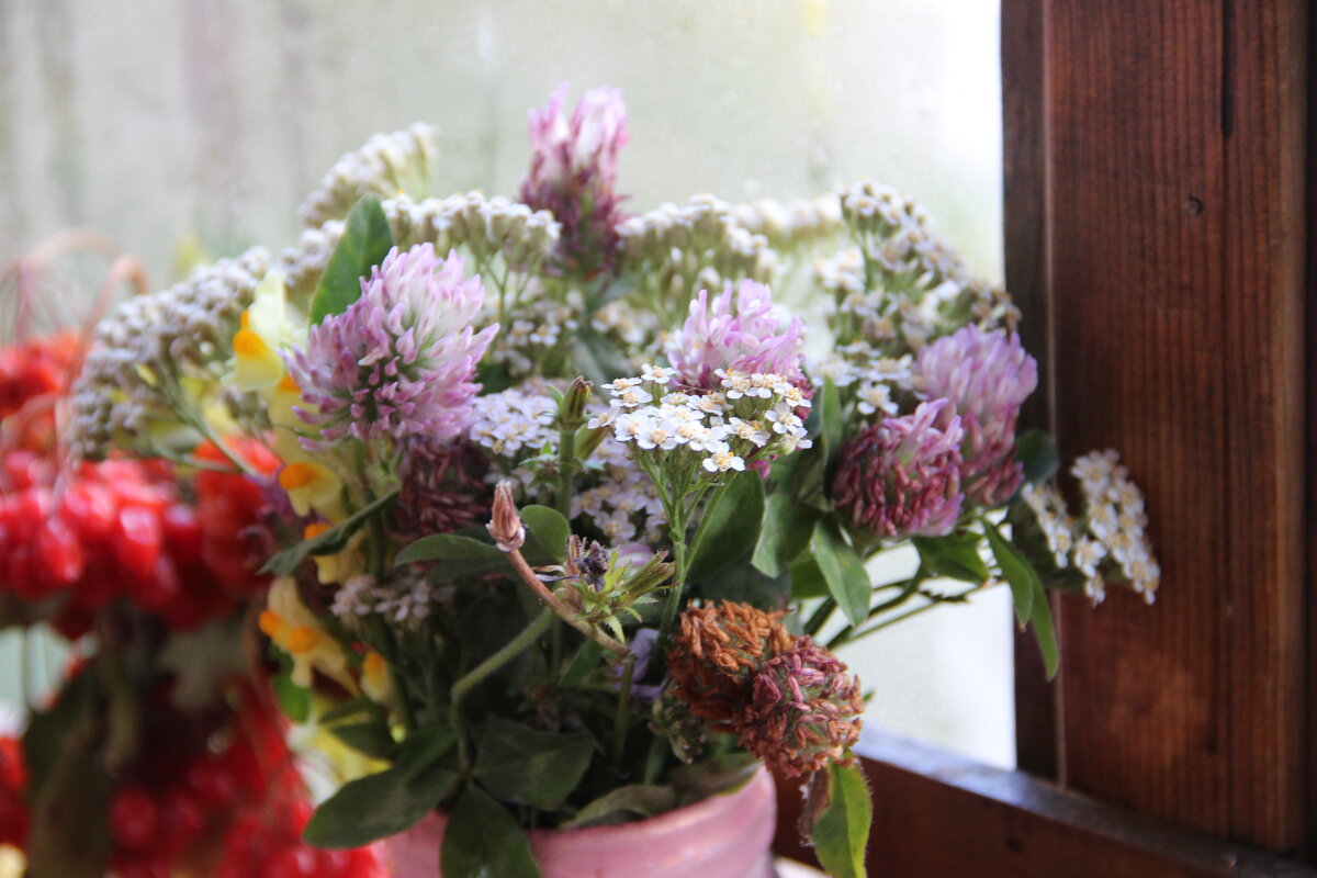 Поздние цветы - Венера Чуйкова