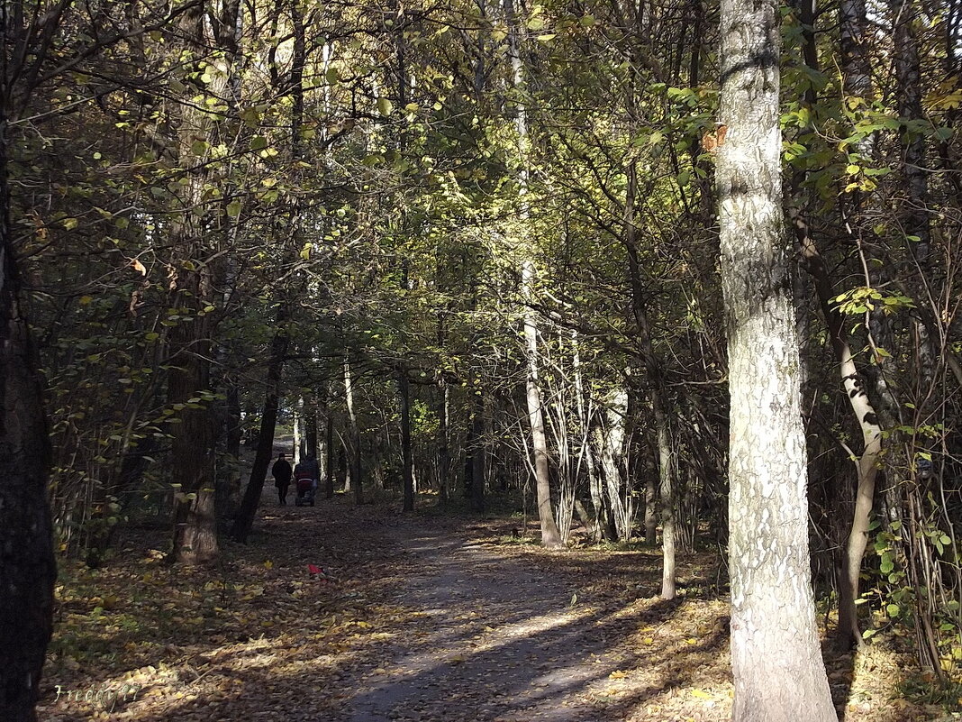 В парке... - Freddy 97