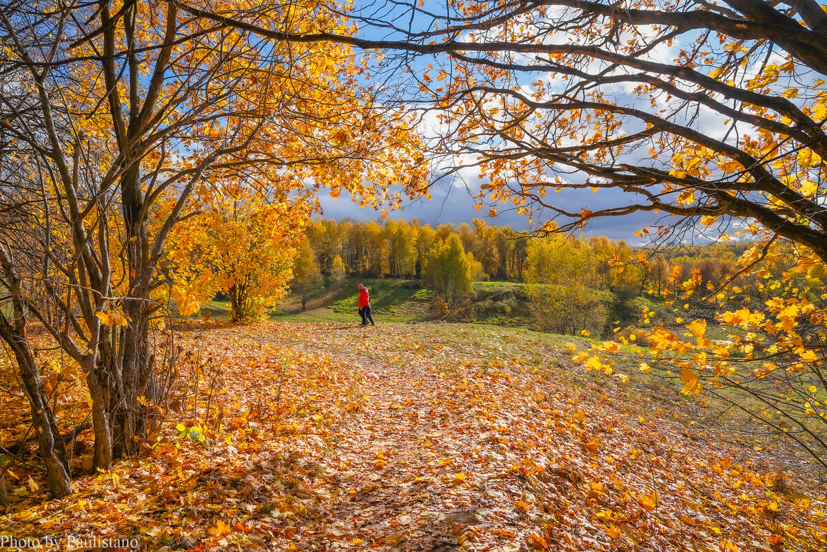 Октябрь в Царицыно... - Владимир Жданов