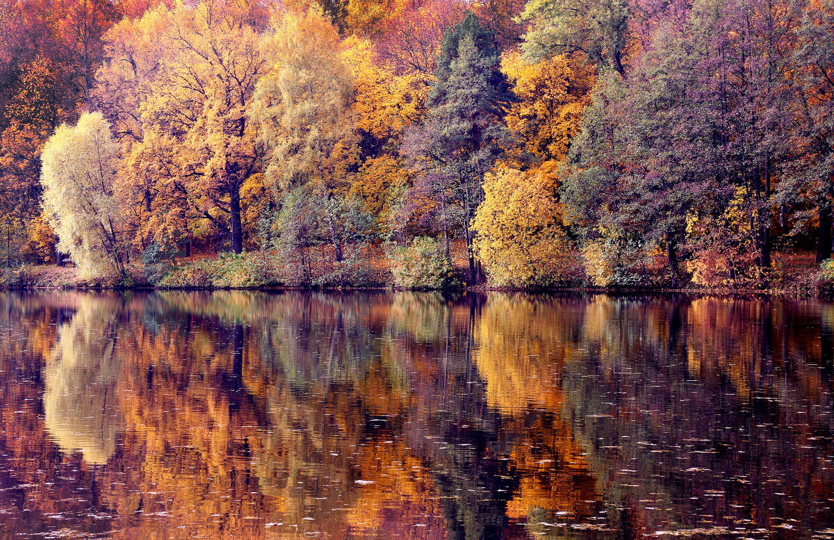 Царицыно 11 октября - Михаил Бибичков