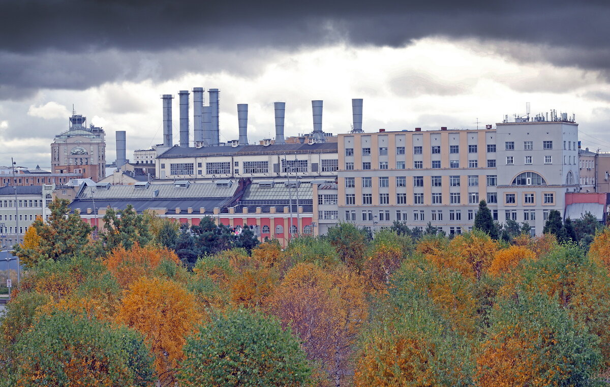 Зарядье 12 октября - Михаил Бибичков