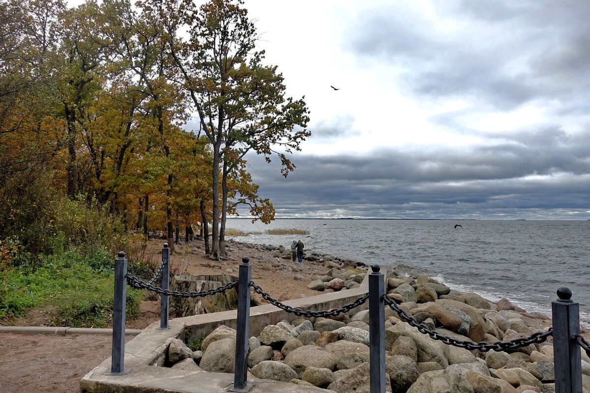 Берег парка "Дубки" - Сергей 