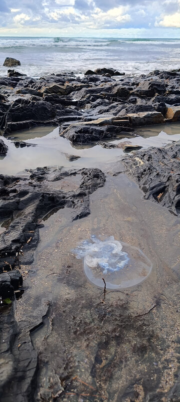 Без названия - serg 