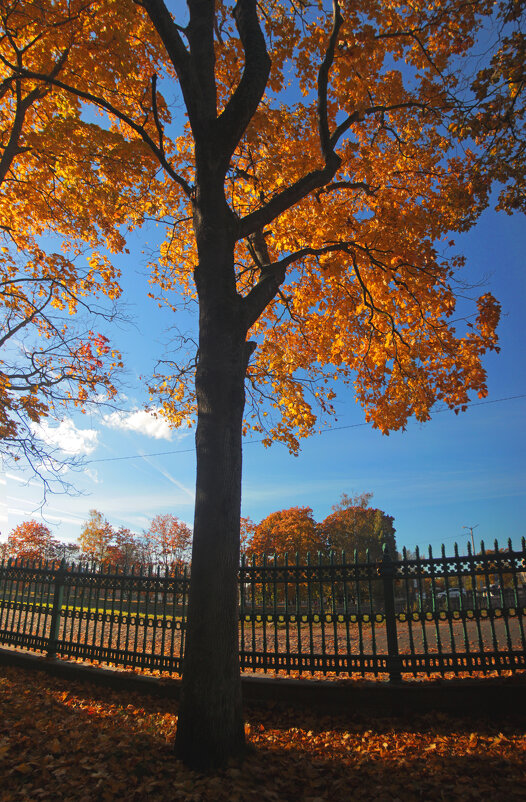 *** - Сергей Григорьев